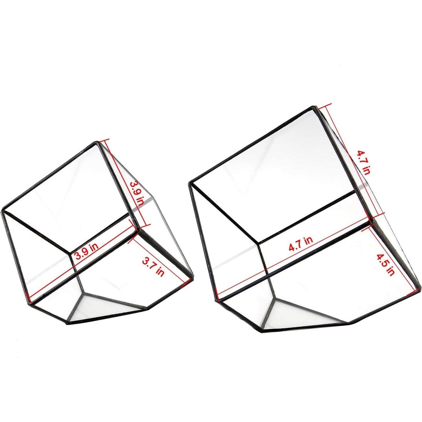 Terrario Geométrico de Vidrio ElegantLife - Maceta Decorativa