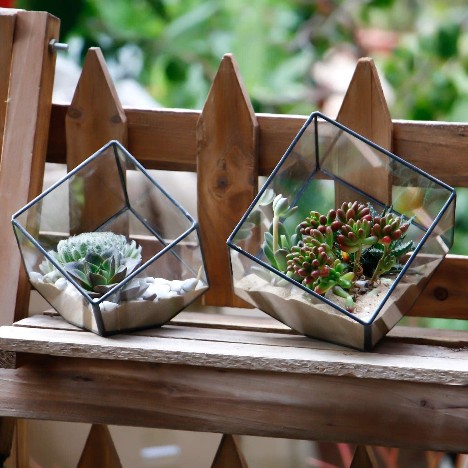 Terrario Geométrico de Vidrio ElegantLife - Maceta Decorativa