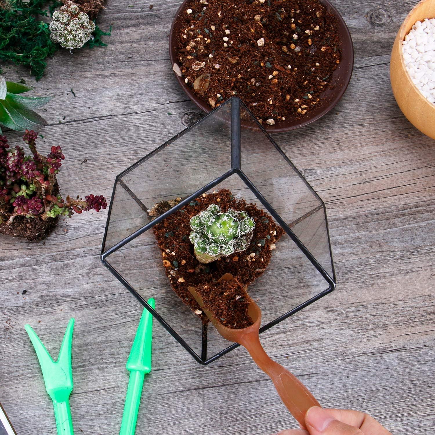 Terrario Geométrico de Vidrio ElegantLife - Maceta Decorativa