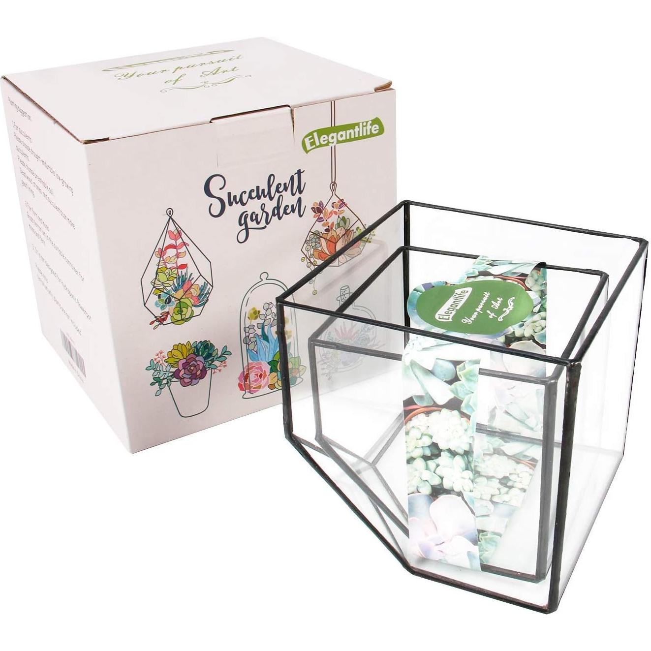 Terrario Geométrico de Vidrio ElegantLife - Maceta Decorativa