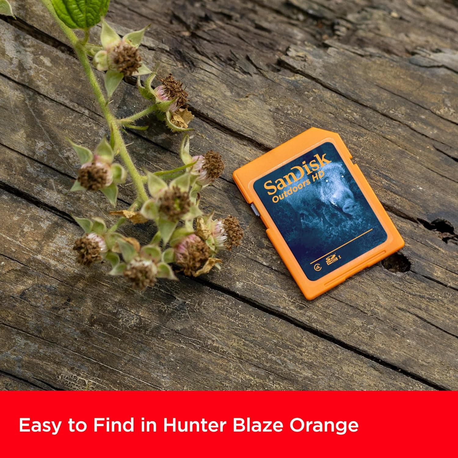 Tarjeta SD SanDisk 32GB 2-Pack UHS-I para Cámara de Sendero