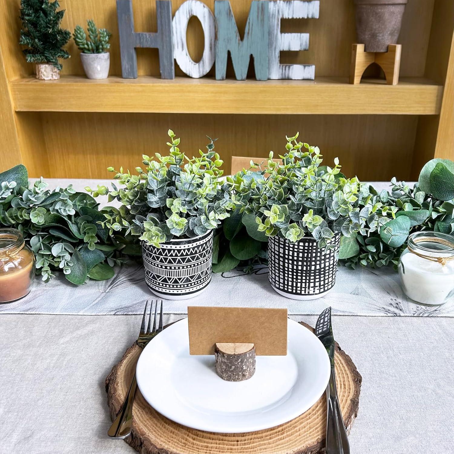 Juego de 2 Plantas de Eucalipto Artificial Winlyn en Macetas Negras