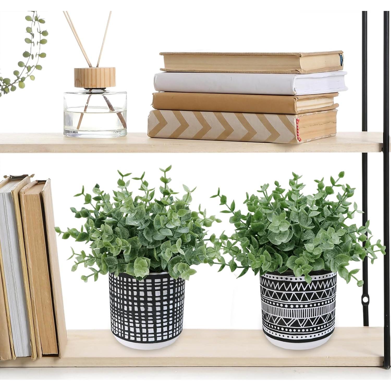 Juego de 2 Plantas de Eucalipto Artificial Winlyn en Macetas Negras