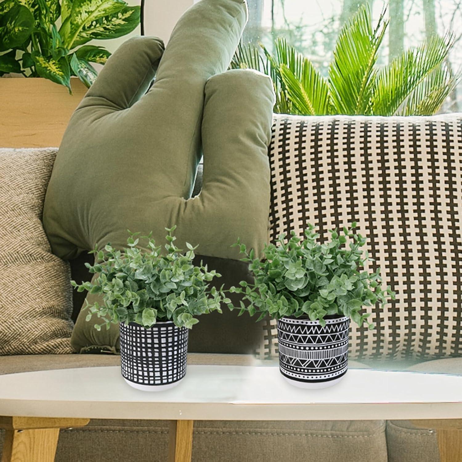 Juego de 2 Plantas de Eucalipto Artificial Winlyn en Macetas Negras