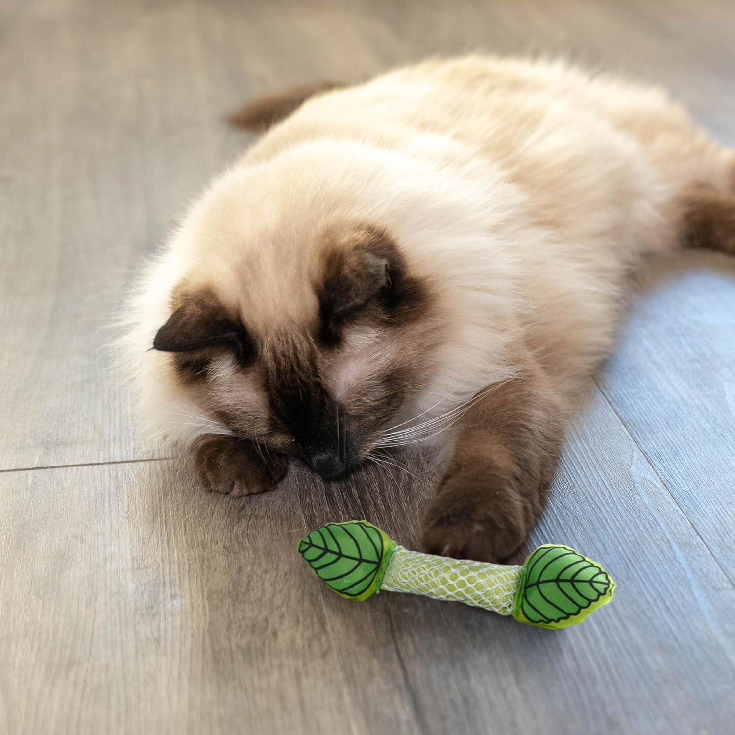 Juguete Dental para Gatos Petstages Fresh Breath - Paquete de 2