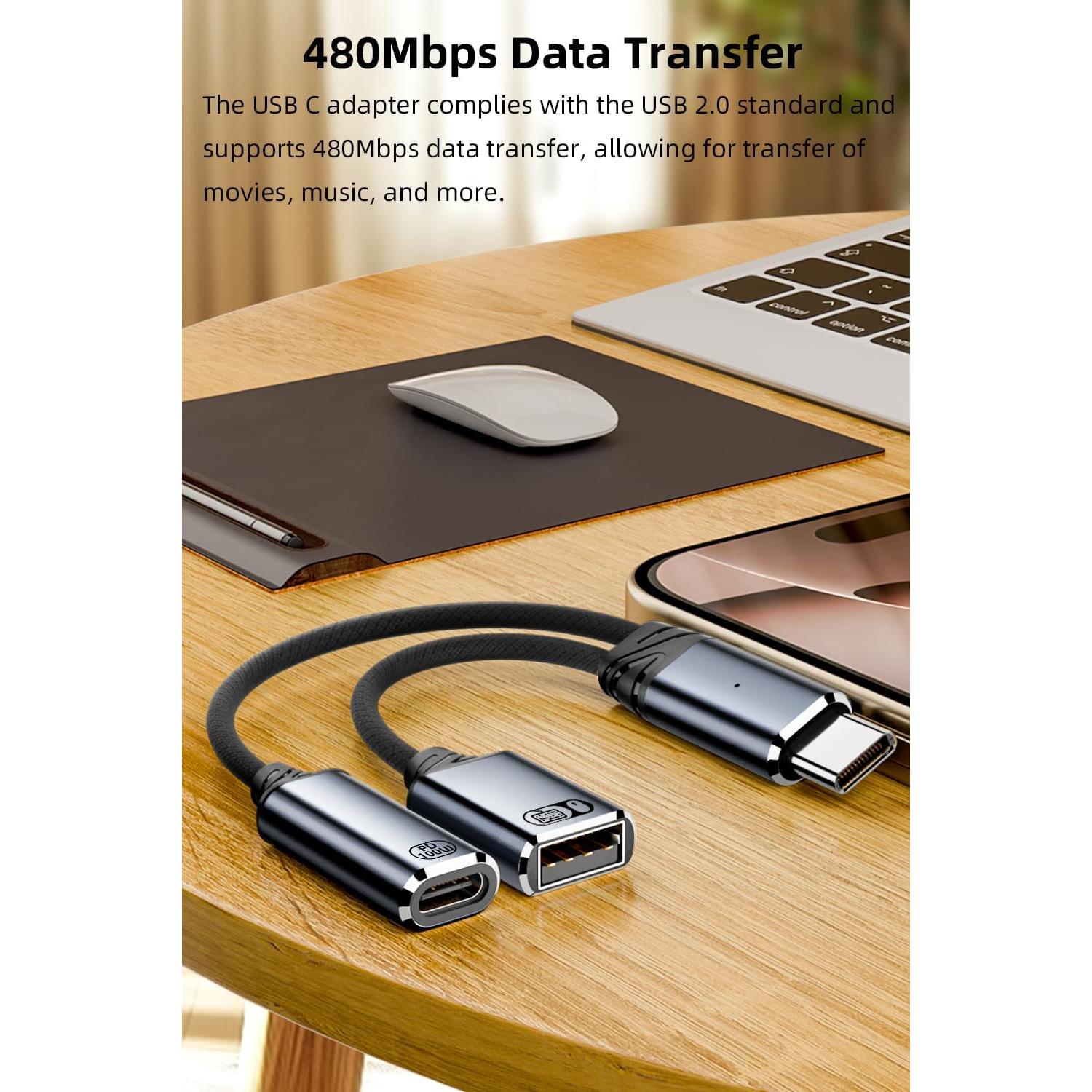 Adaptador USB C OTG y Cargador Jadebones 100W Gris