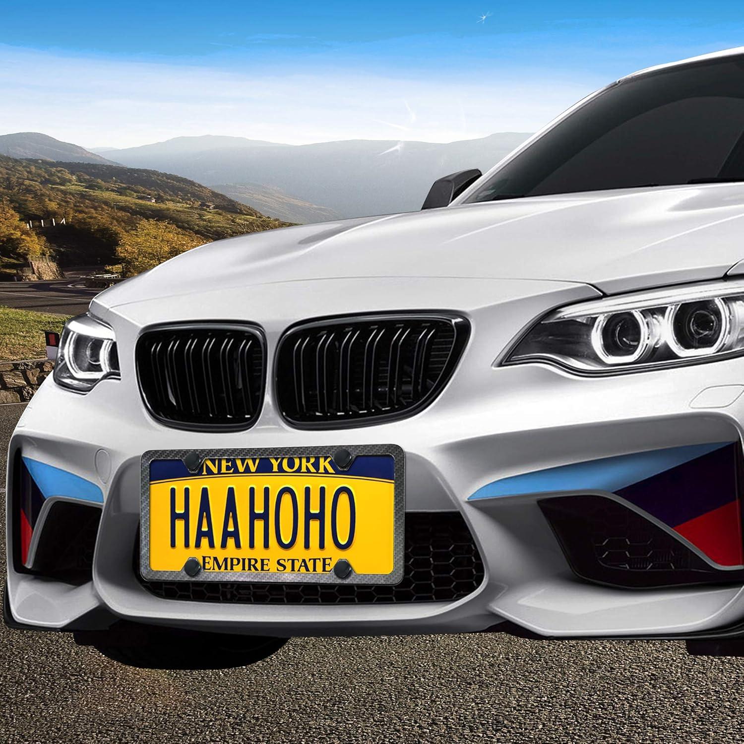 Tornillos de Placa de Licencia Antirrobo YoUoY M6 Acero Inoxidable