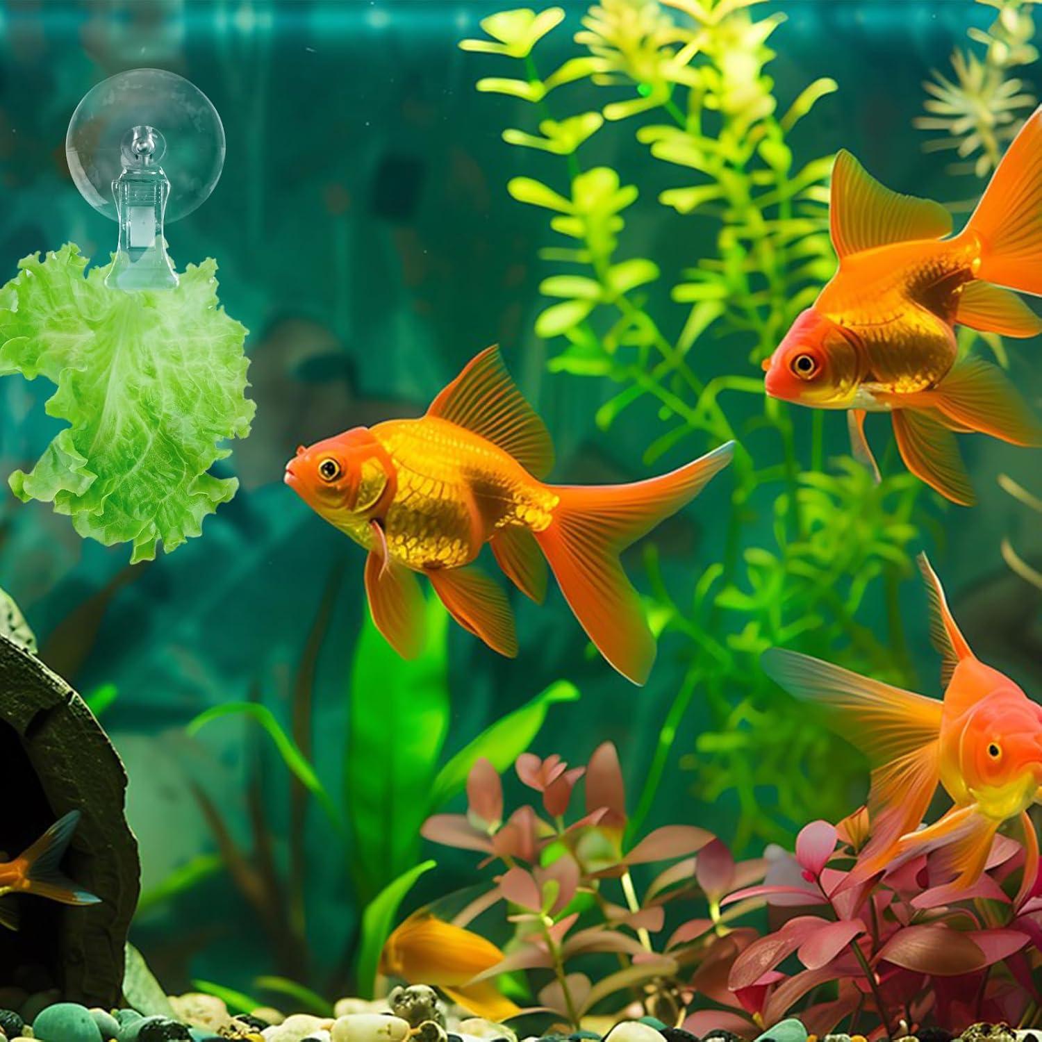 Paquete de 6 Clips de Verduras para Acuarios AccEncyc