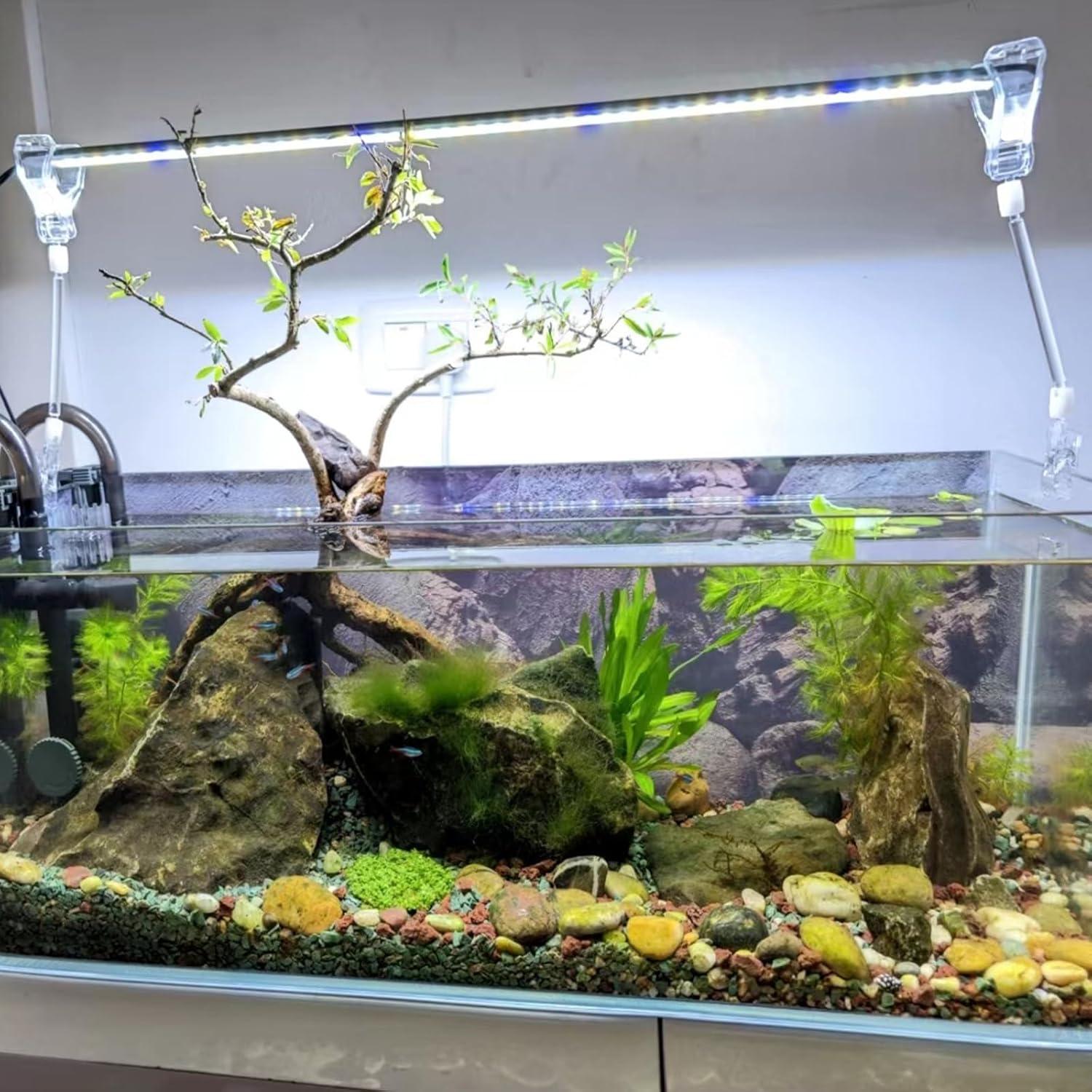 Paquete de 6 Clips de Verduras para Acuarios AccEncyc