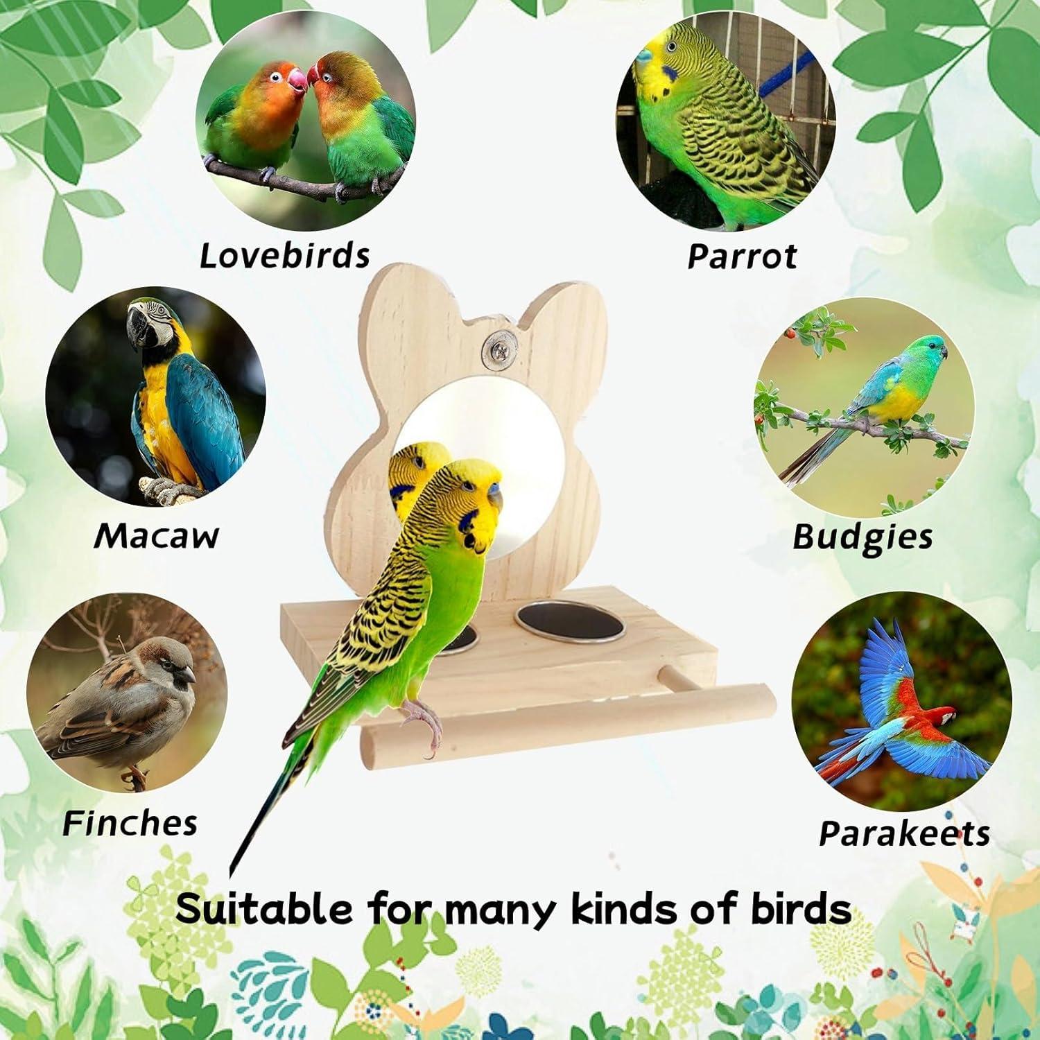 Perchero para Pájaro Hamiledyi con Espejo y Tazas de Acero Inoxidable