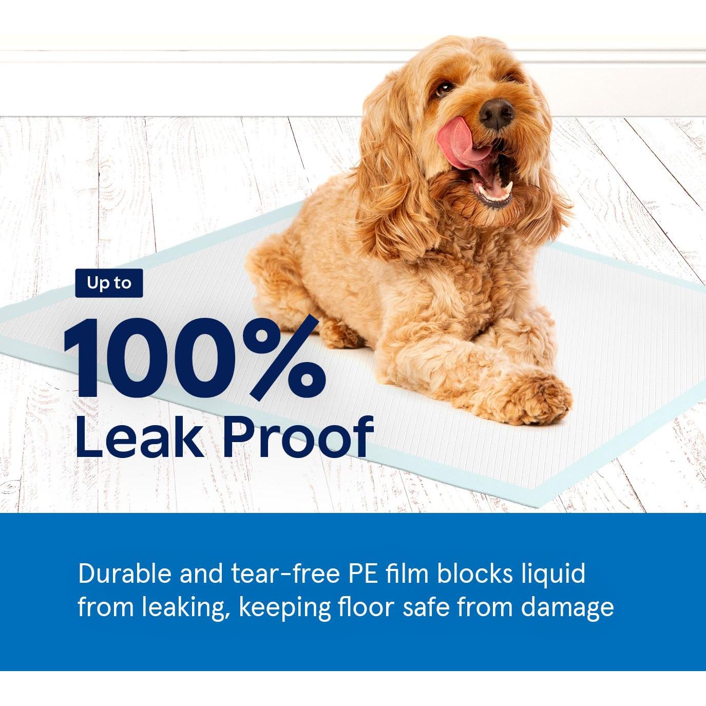 Puppy Pads Pet Pee Pads for Dogs & Puppy Training [100-COUNT] Potty Pads for Dogs 22" x 22" Leak-Proof Dog Pee Pads - Quick-Dry Surface - Heavy Duty Absorbent Disposable Dog Wee Pad Bulk Pack