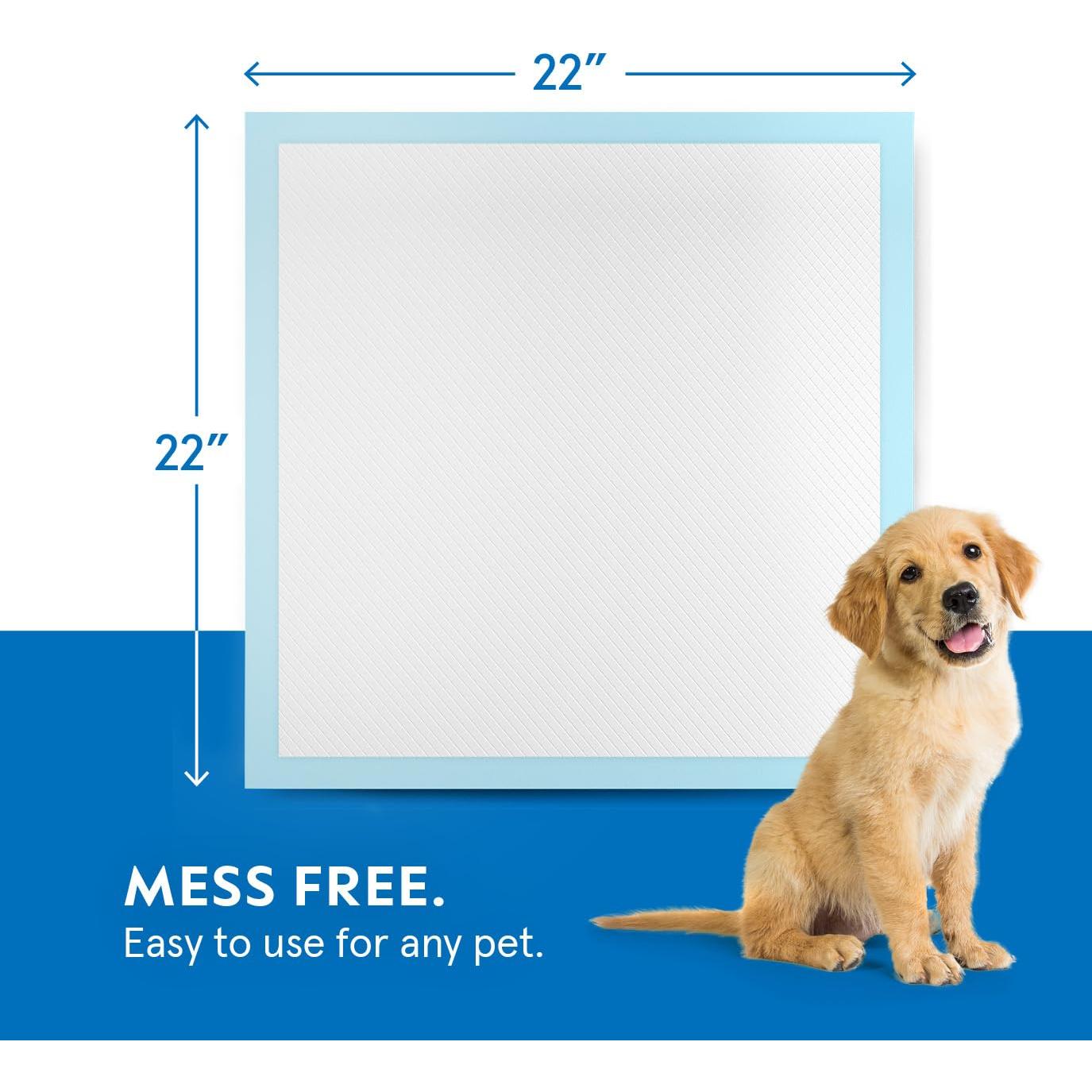 Puppy Pads Pet Pee Pads for Dogs & Puppy Training [100-COUNT] Potty Pads for Dogs 22" x 22" Leak-Proof Dog Pee Pads - Quick-Dry Surface - Heavy Duty Absorbent Disposable Dog Wee Pad Bulk Pack