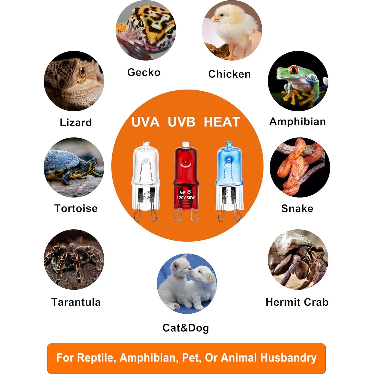 Lámpara de Calor para Reptiles C-Raptile 25W Roja Paquete de 3