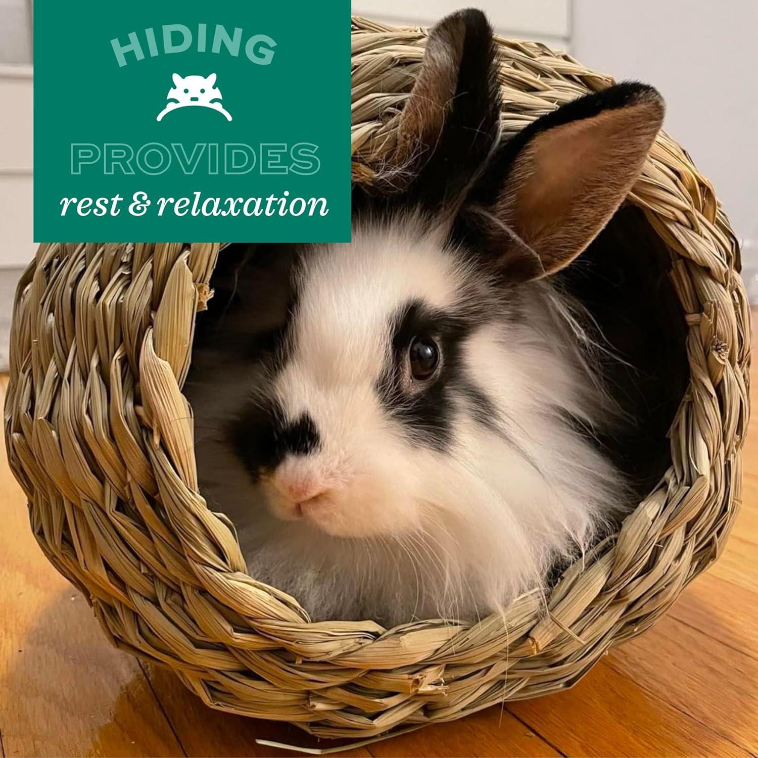 Mat de Heno de Timothy Oxbow Mediano 100% Natural para Mascotas