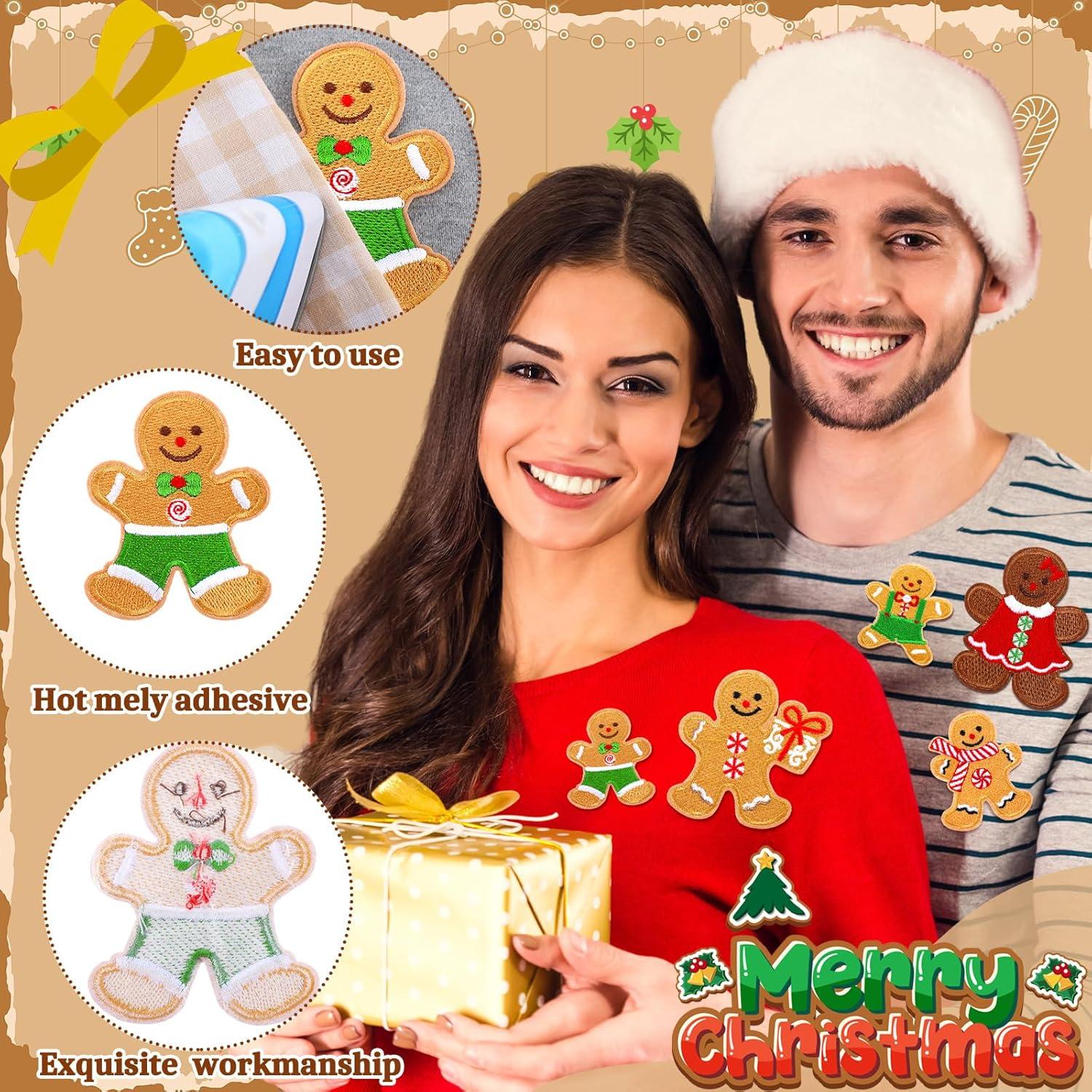 48 Parches Bordados Chenille Tigeen Galleta de Jengibre