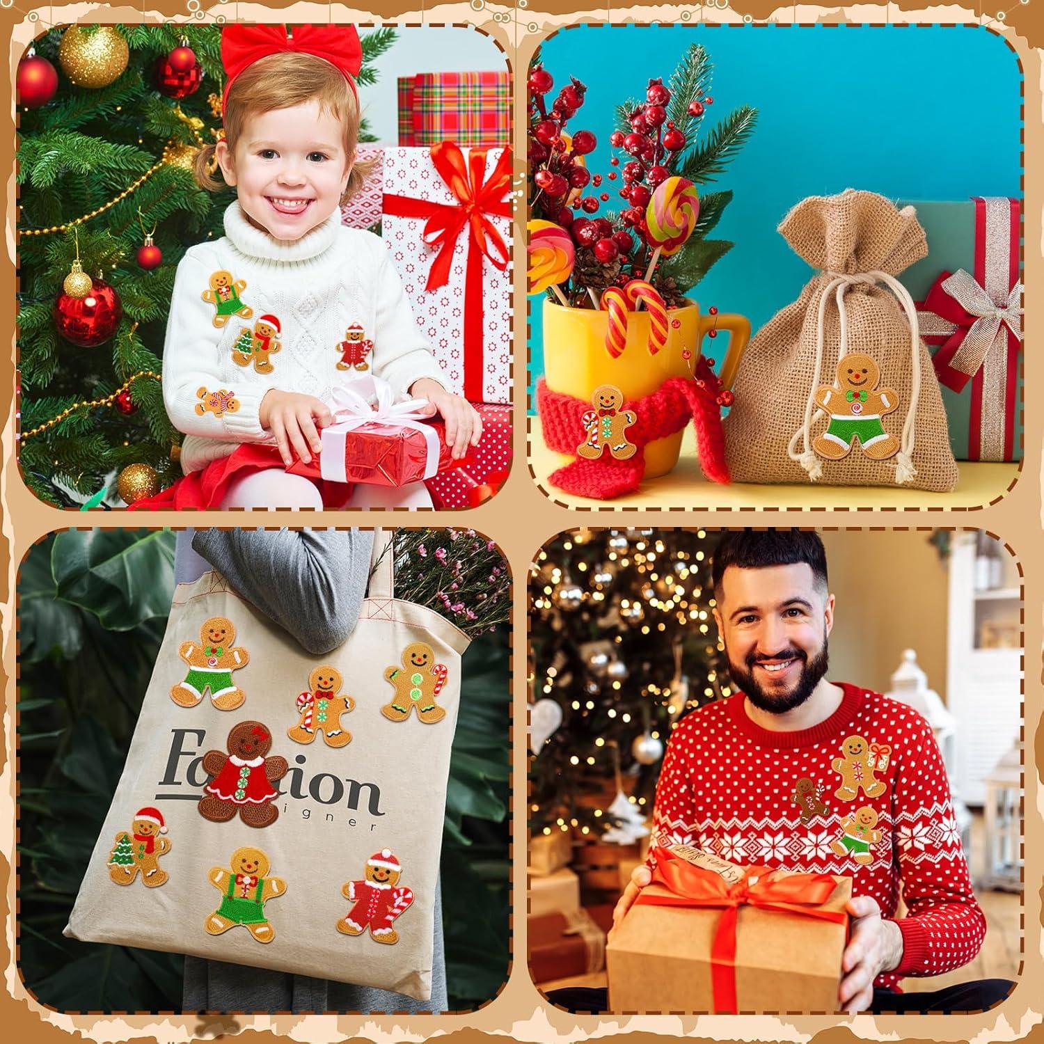 48 Parches Bordados Chenille Tigeen Galleta de Jengibre