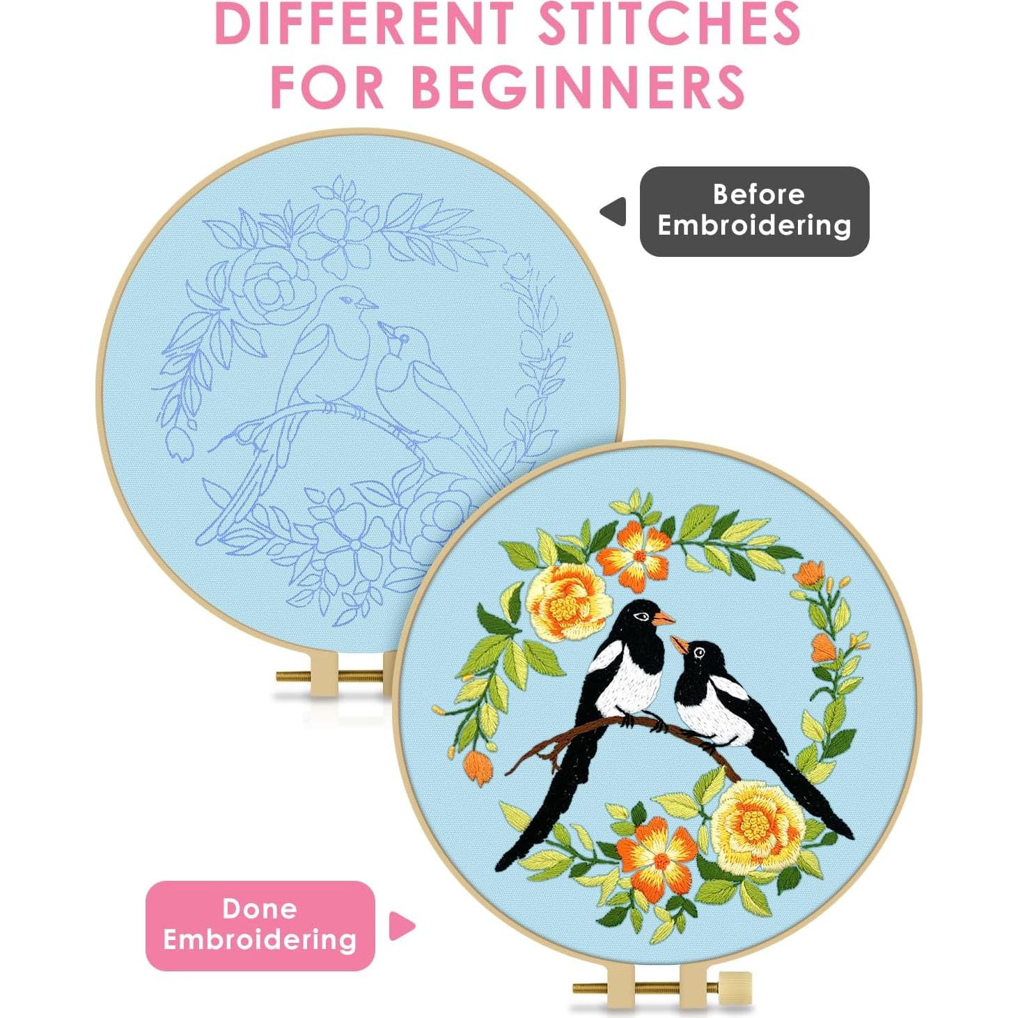 Kit de Bordado TINDTOP para Principiantes - Pájaro, 20x20 cm