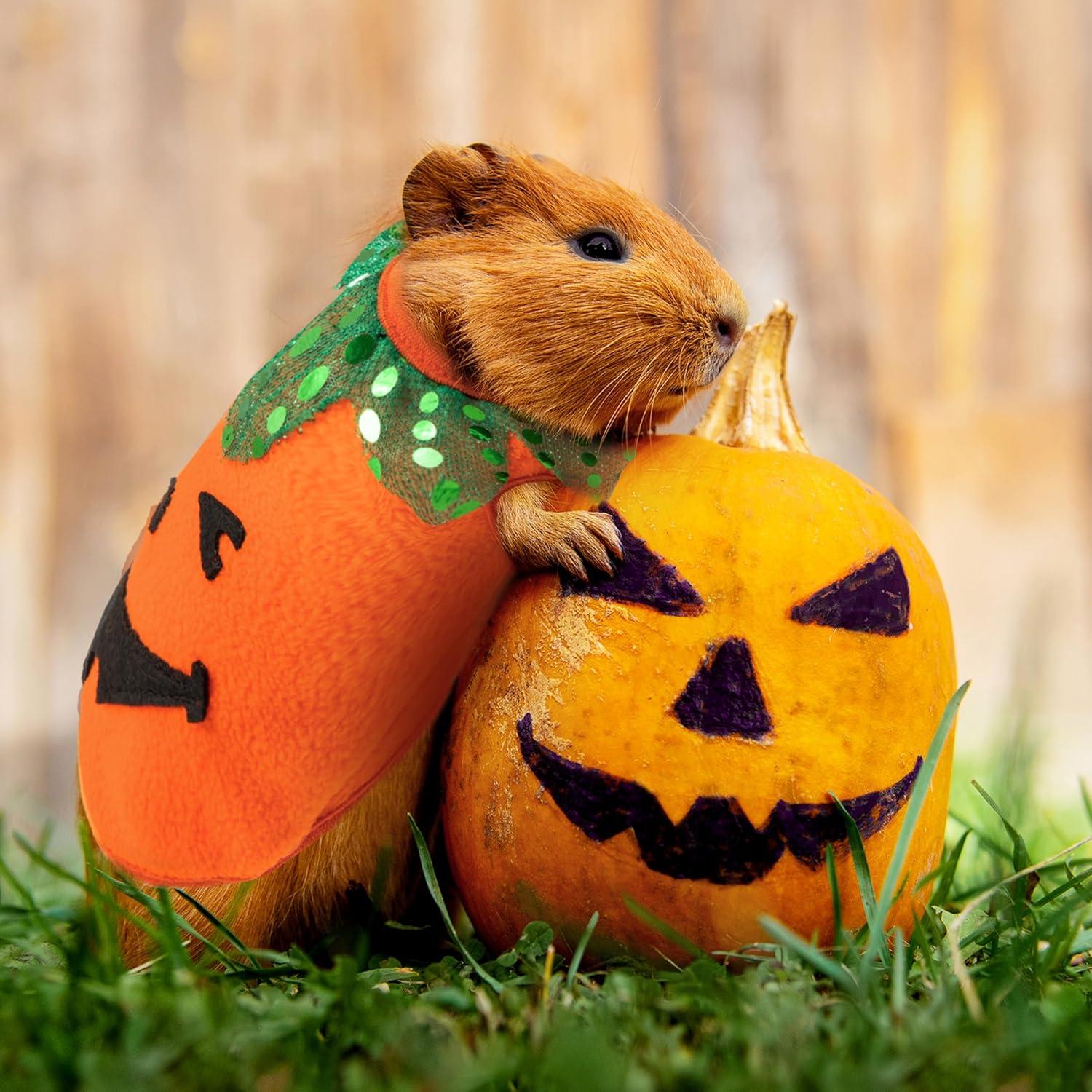 Disfraz de Halloween para Mascotas IPRAVOCI - Chaleco Calabaza y Huesos