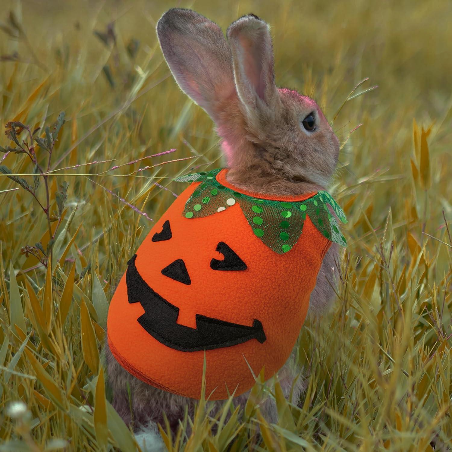 Disfraz de Halloween para Mascotas IPRAVOCI - Chaleco Calabaza y Huesos