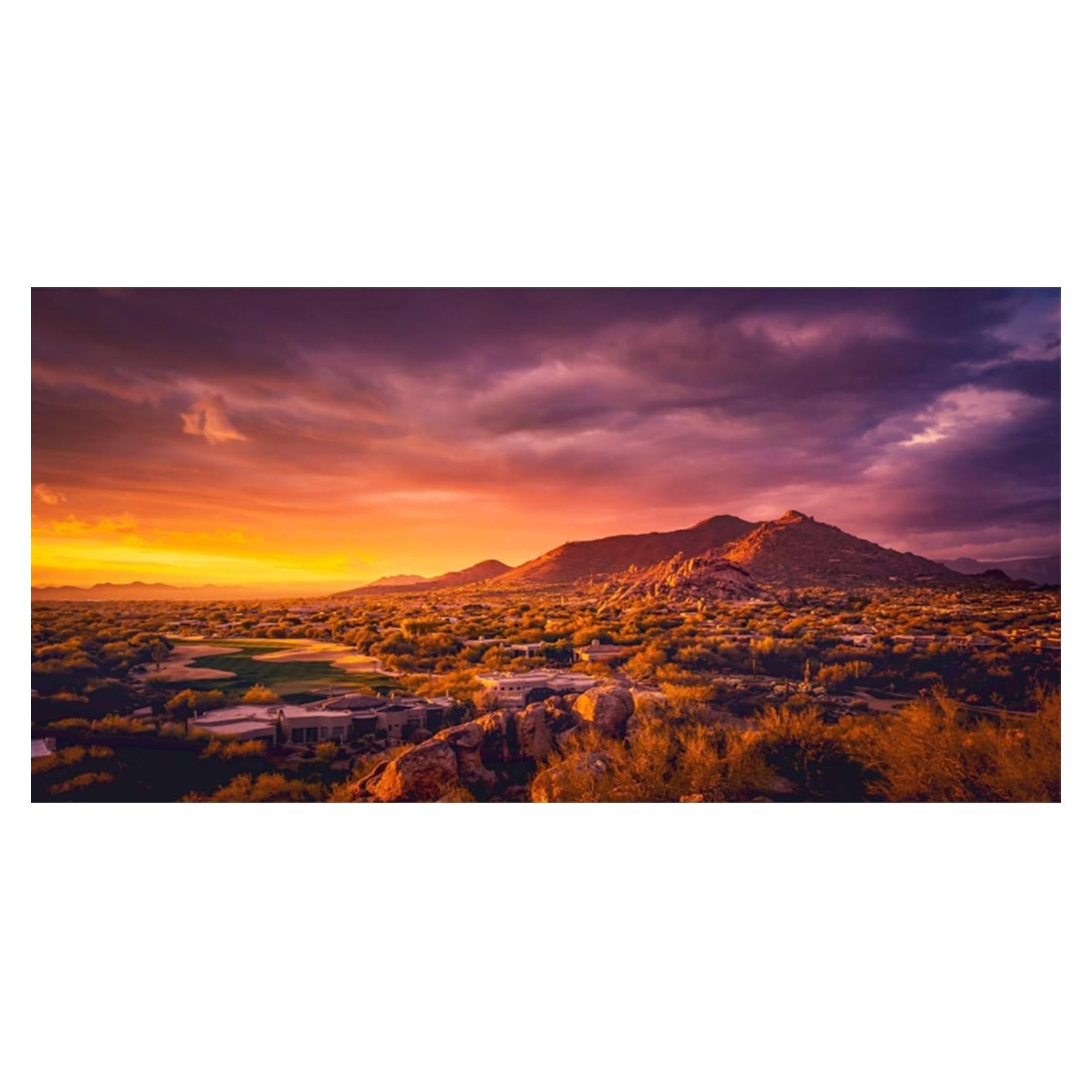 Fondo de Terrario AWERT 60x30 cm Vinilo Oasis Desierto