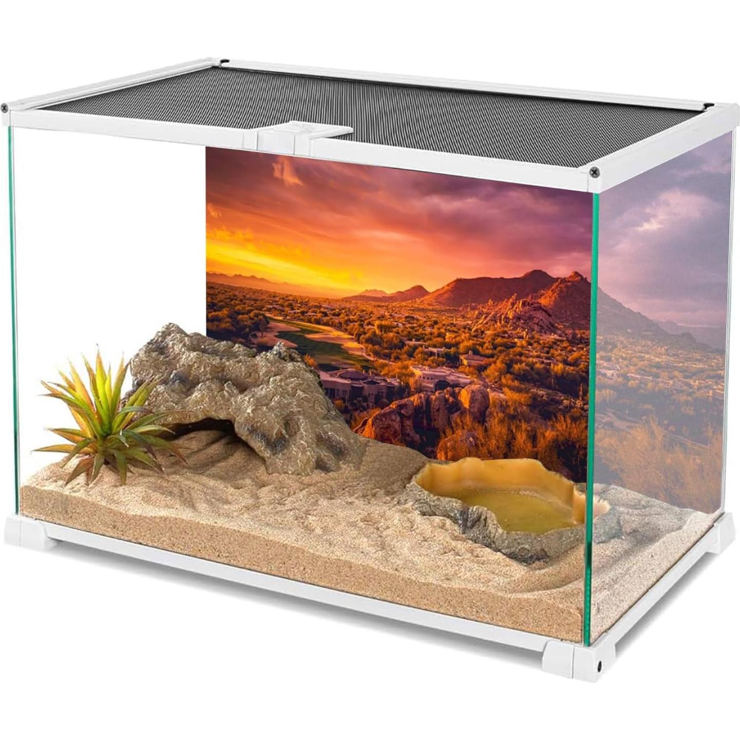Fondo de Terrario AWERT 60x30 cm Vinilo Oasis Desierto
