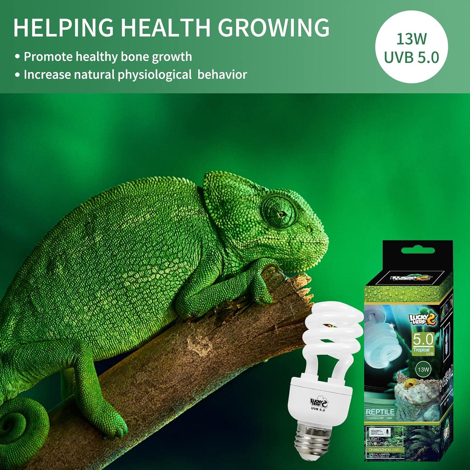 LUCKY HERP Reptile UVA UVB Light 5.0 13W Compact Fluorescent Tropical Terrarium Lamp
