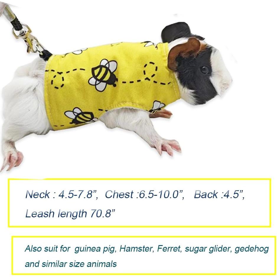 Ropa para Reptiles Anelekor con Correa y Sudadera Abeja