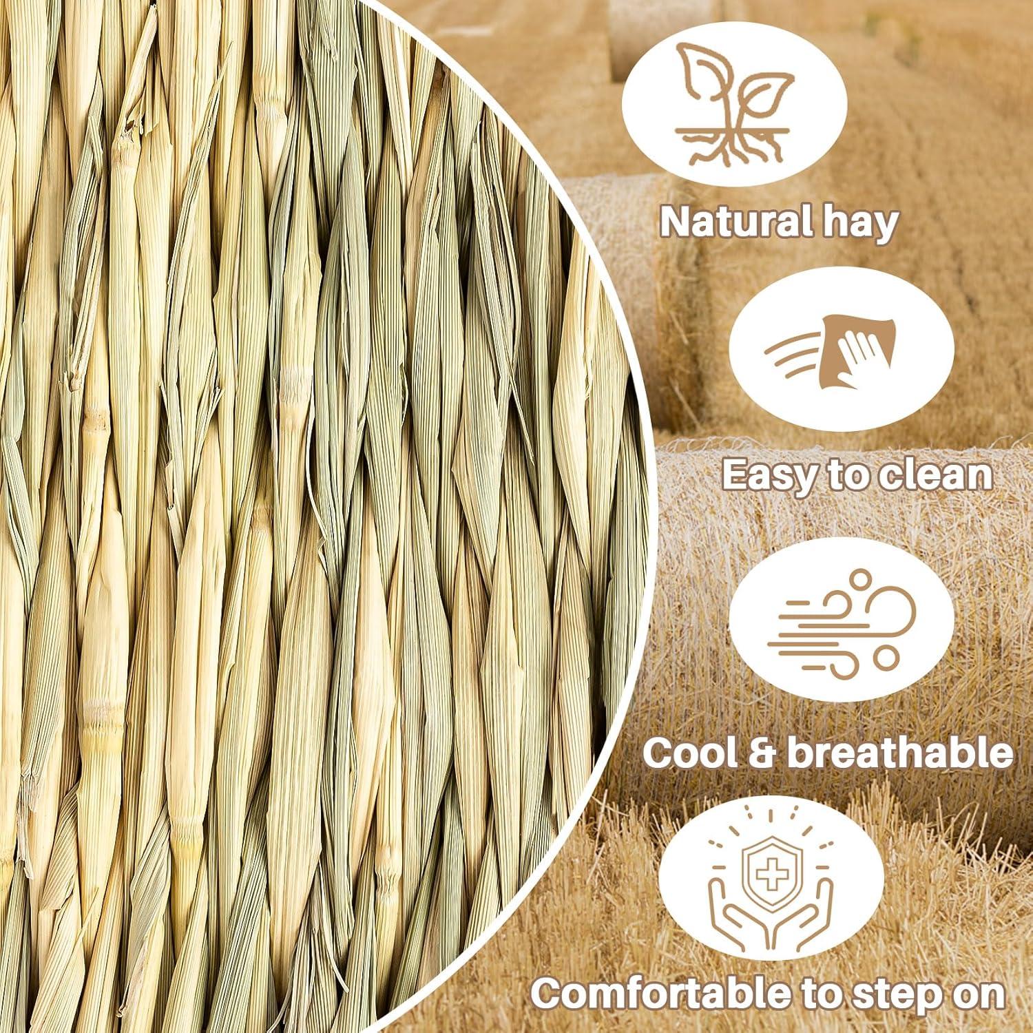 Alfombrillas de Hierba Tejidas Sukh 2 PCS para Mascotas Pequeñas