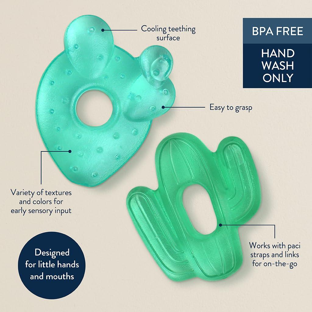 Mordedores Llenos de Agua Itzy Ritzy - Set de 2 Cactus Verde