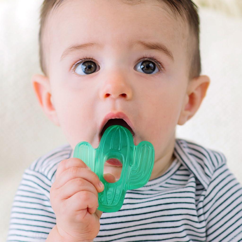 Mordedores Llenos de Agua Itzy Ritzy - Set de 2 Cactus Verde