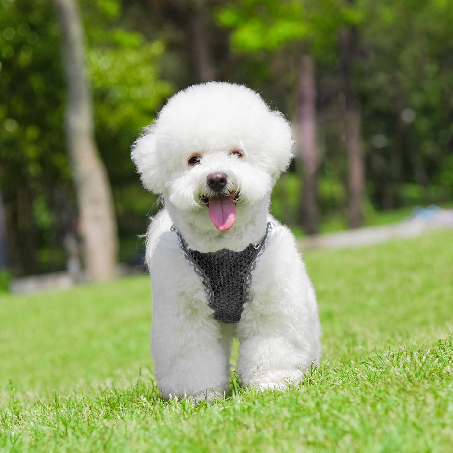 Arnés para Perro Pequeño JOYPAWS Negro XXXS, Malla Transpirable