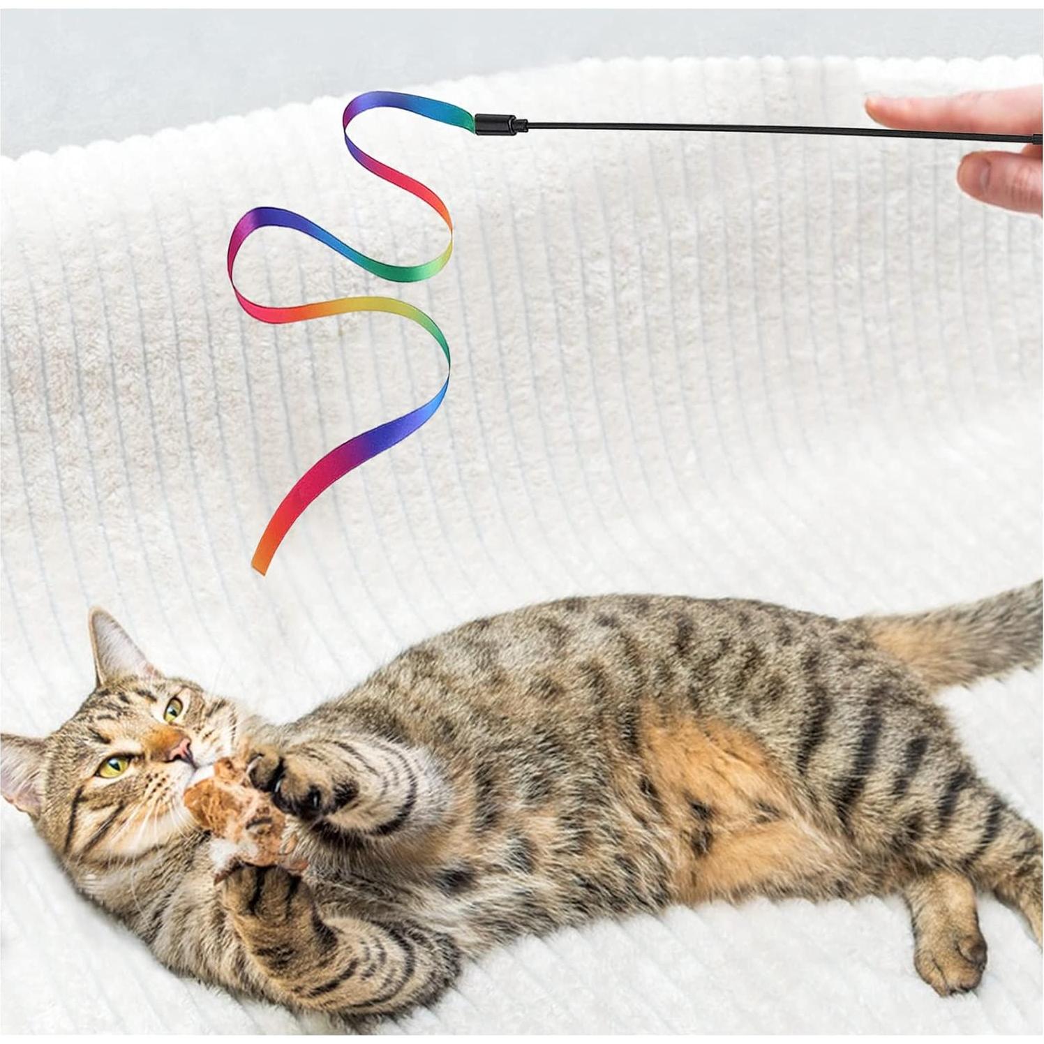 Juguetes de caña para gatos Andiker, 2 piezas, plástico, colorido