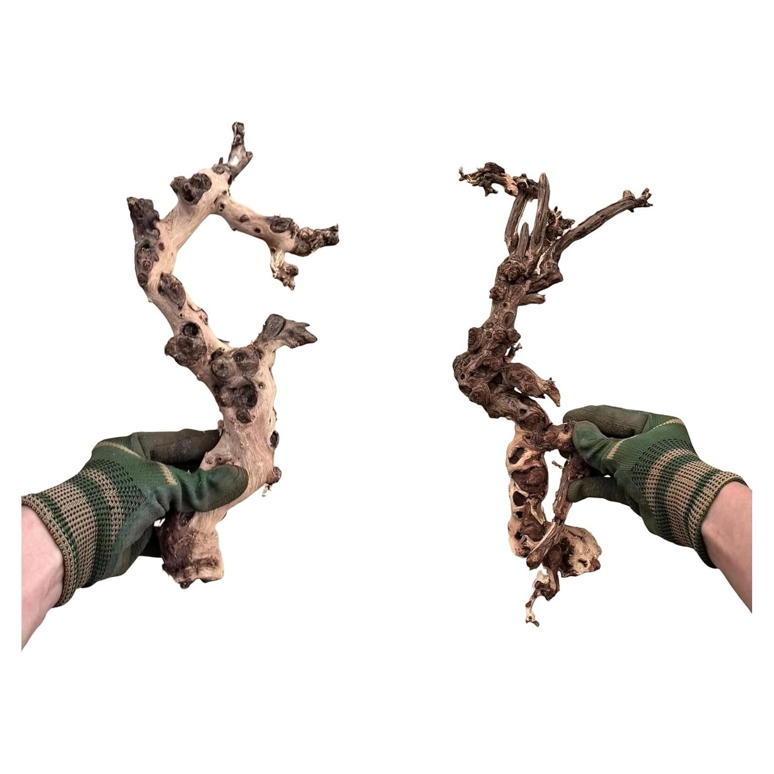 Madera Flotante Natural para Acuario y Reptiles - 4 Piezas 10-15cm