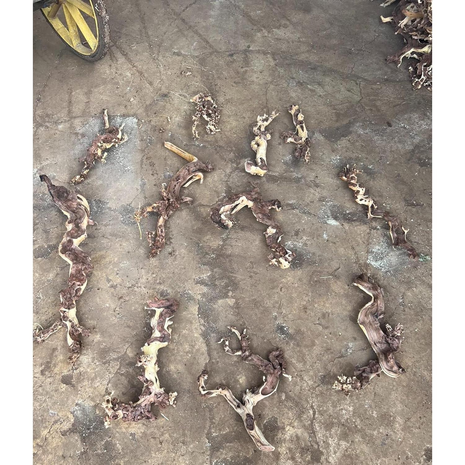 Madera Flotante Natural para Acuario y Reptiles - 4 Piezas 10-15cm