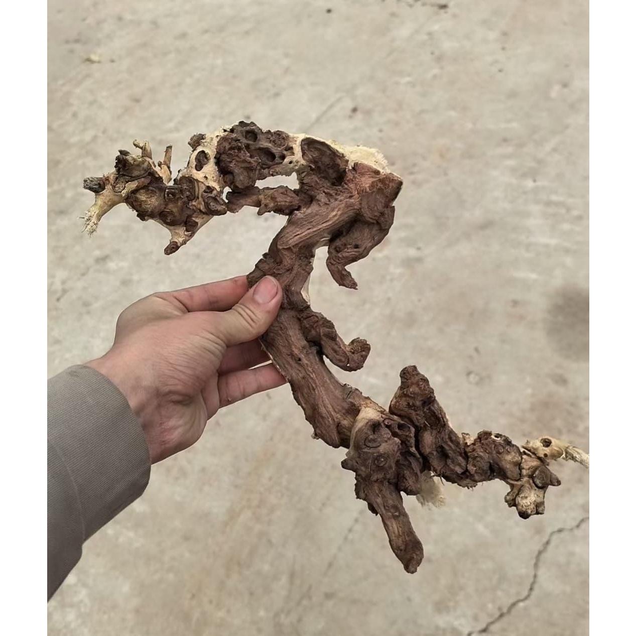 Madera Flotante Natural para Acuario y Reptiles - 4 Piezas 10-15cm