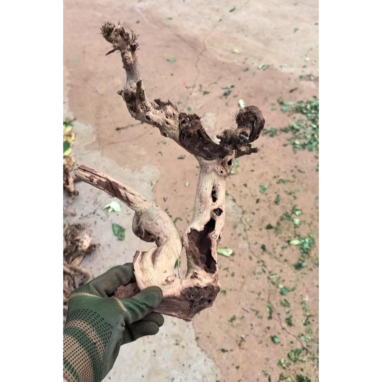 Madera Flotante Natural para Acuario y Reptiles - 4 Piezas 10-15cm