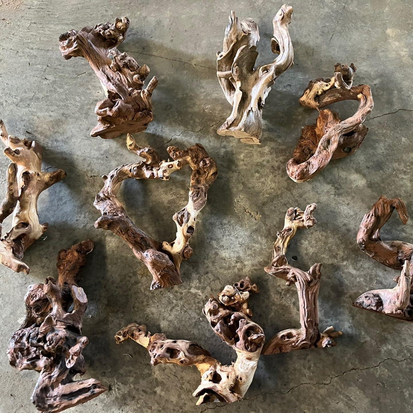 Madera Flotante Natural para Acuario y Reptiles - 4 Piezas 10-15cm