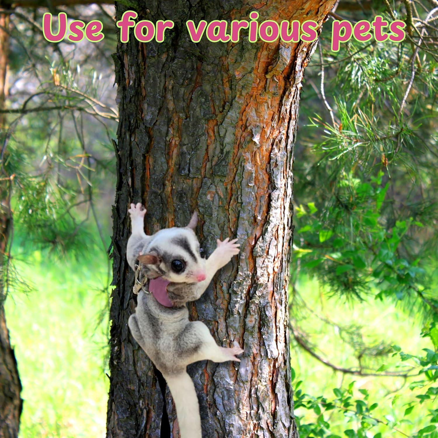 Arnés y Correa para Dragón Barbudo Homedy Conejo Rosa