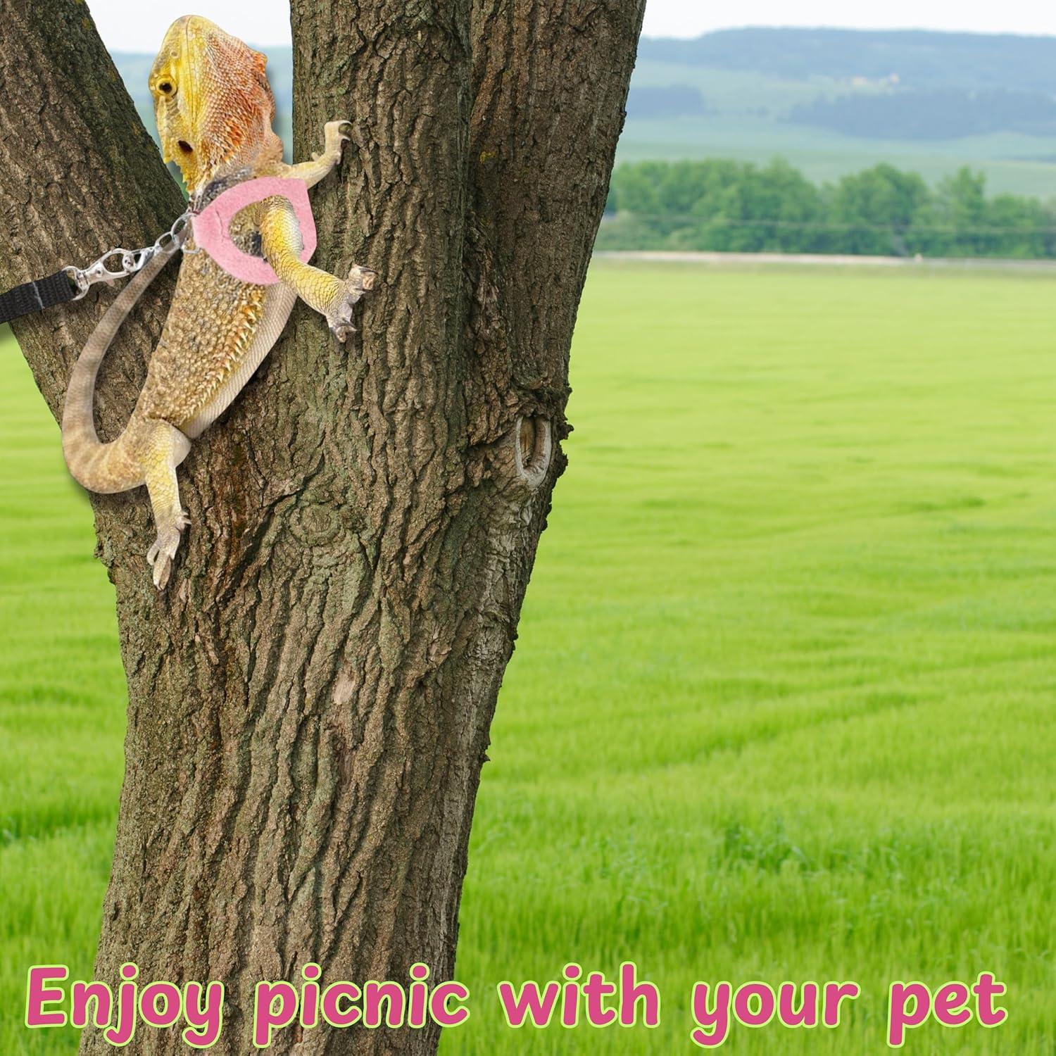 Arnés y Correa para Dragón Barbudo Homedy Conejo Rosa