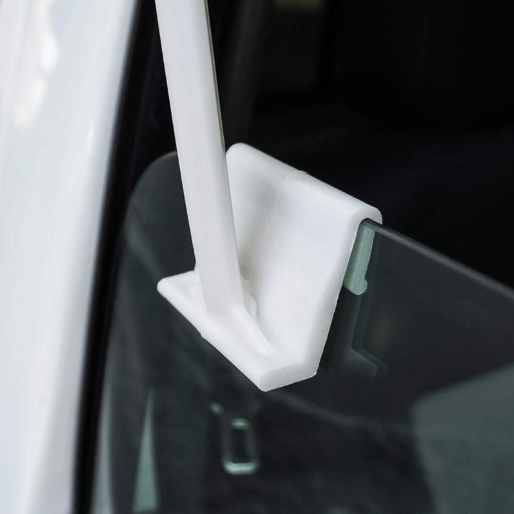 Bandera de Coche Pinky y el Cerebro Graphics & More 36x28cm