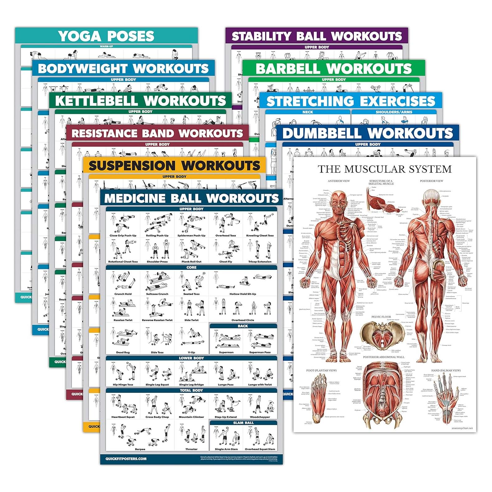 Conjunto de 11 Pósters de Ejercicio Palace Learning