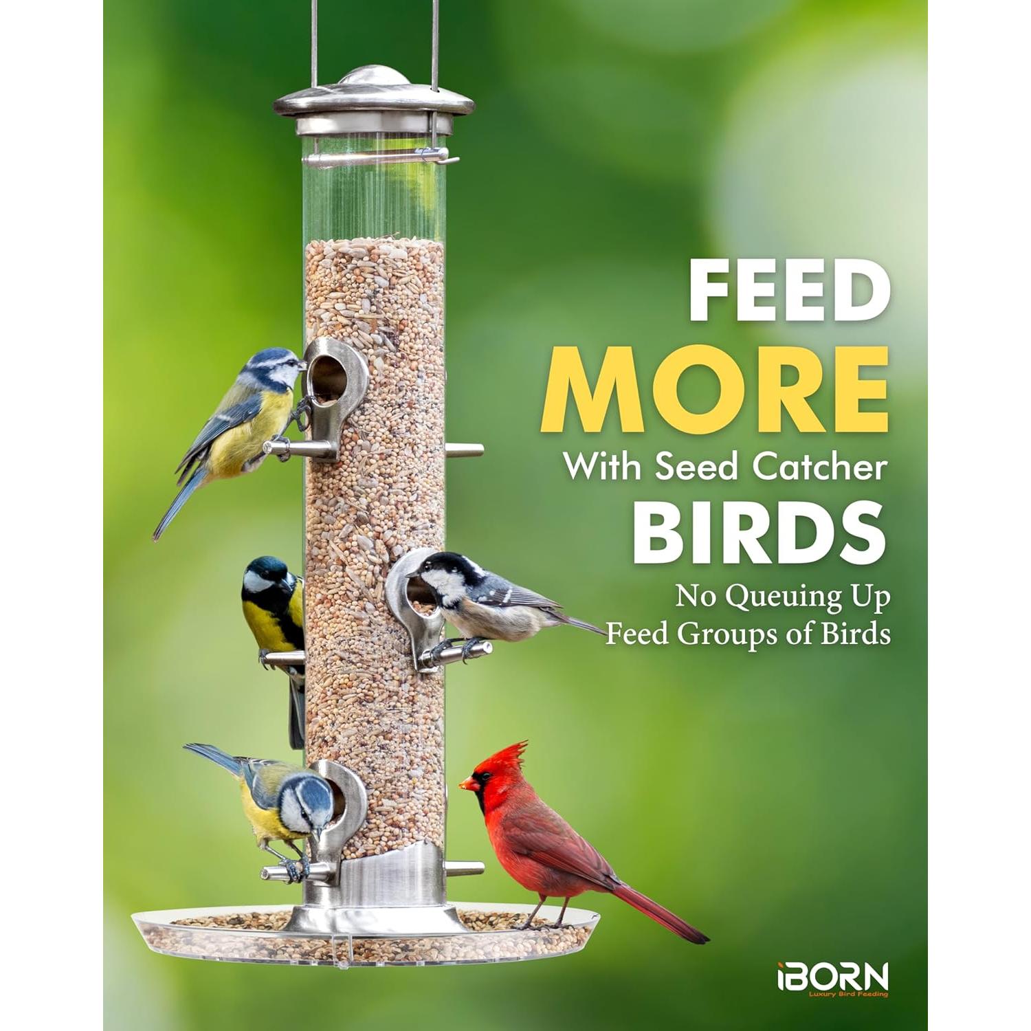 Comedero para Aves iBorn con Captor de Semillas 35.56 cm 6 Puertos