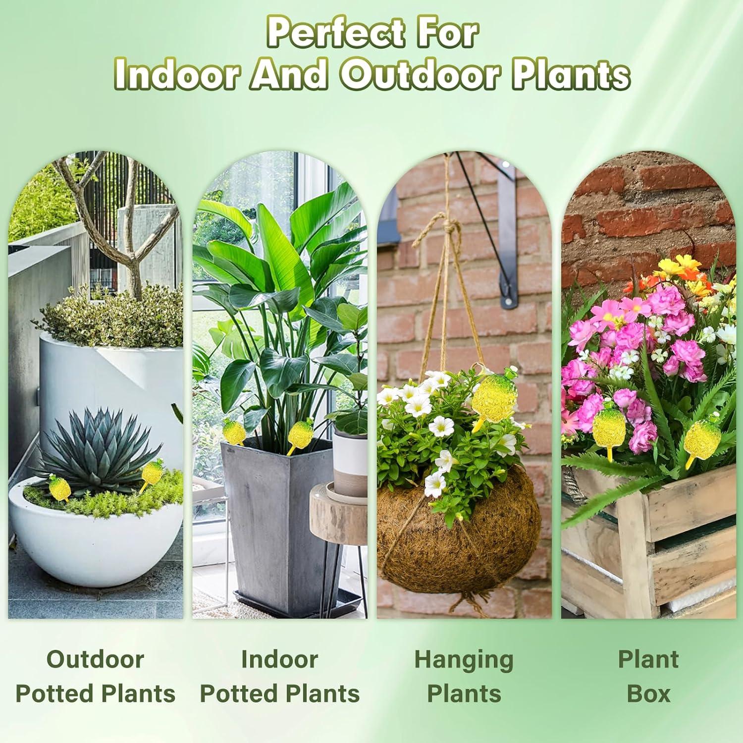 Esferas de Riego Wageso 10 oz para Plantas de Interior