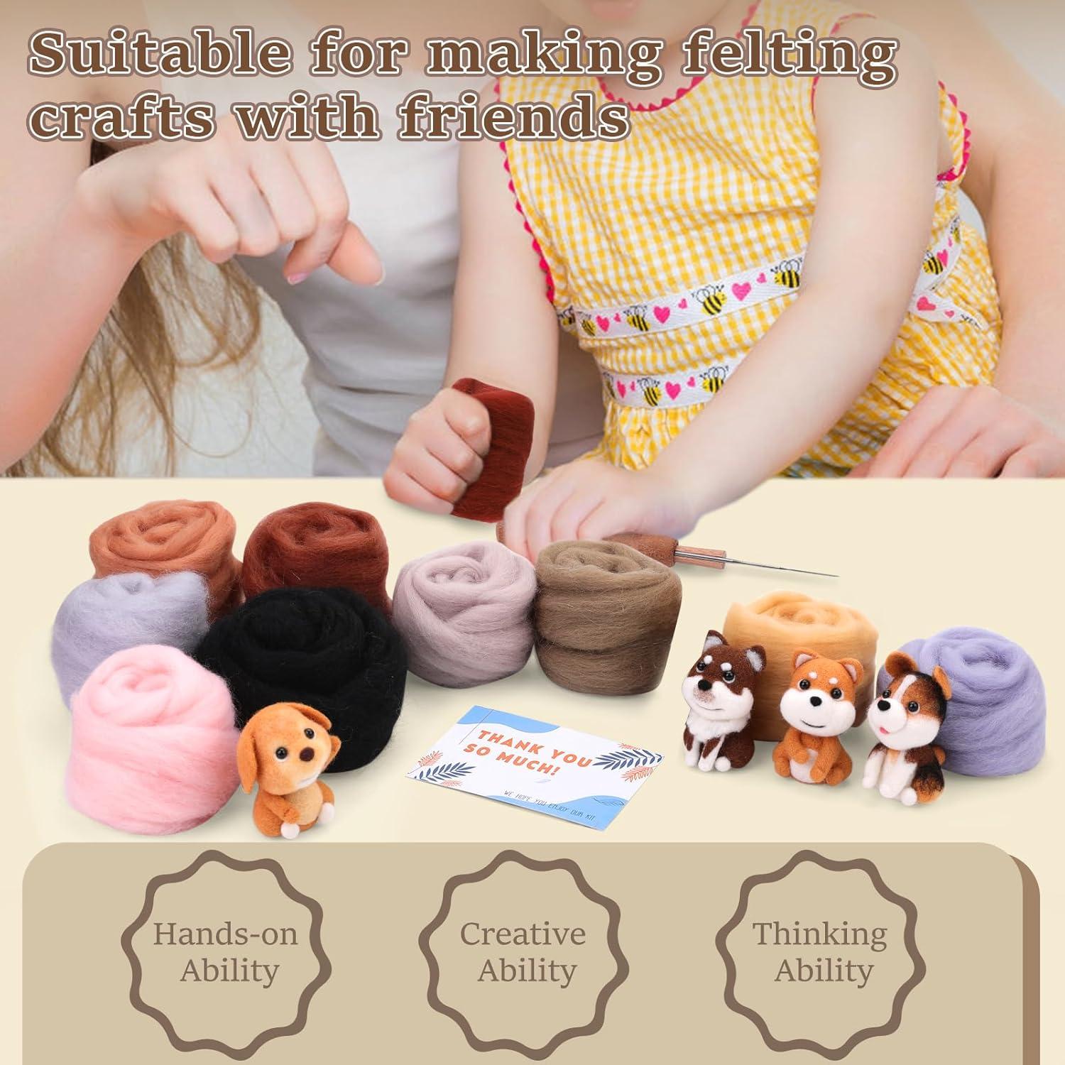 Kit de Lana para Fieltro ZXIIXZ 23 Colores 250g Manualidades