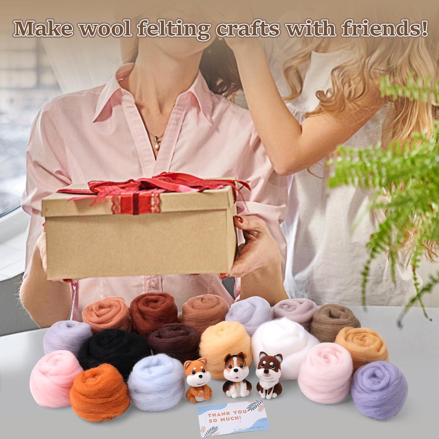 Kit de Lana para Fieltro ZXIIXZ 23 Colores 250g Manualidades