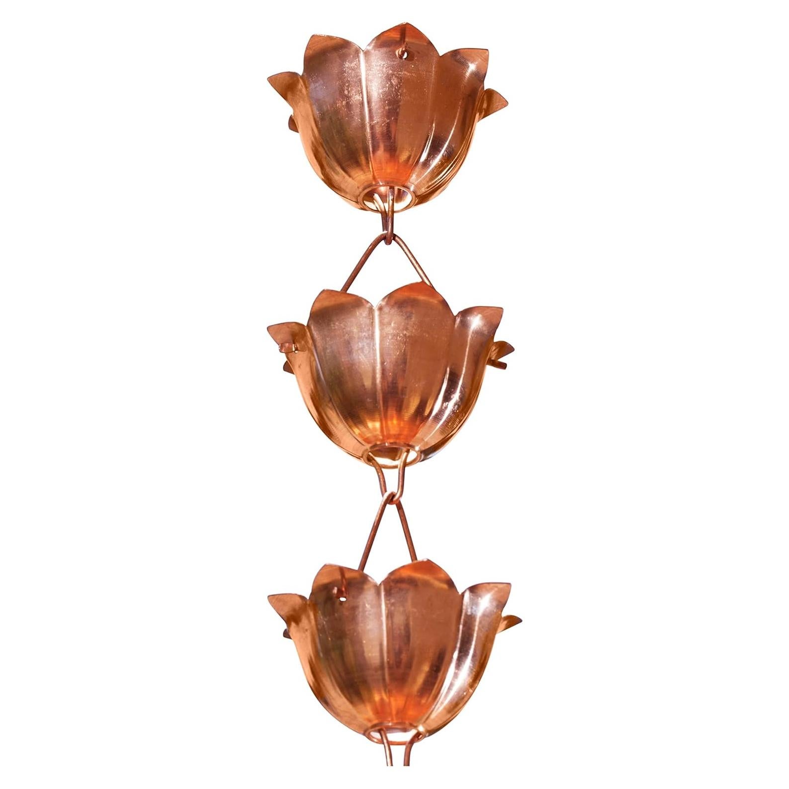 Extensión de Cadena de Lluvia de Cobre Monarch 0.91 m 7 Copas Loto