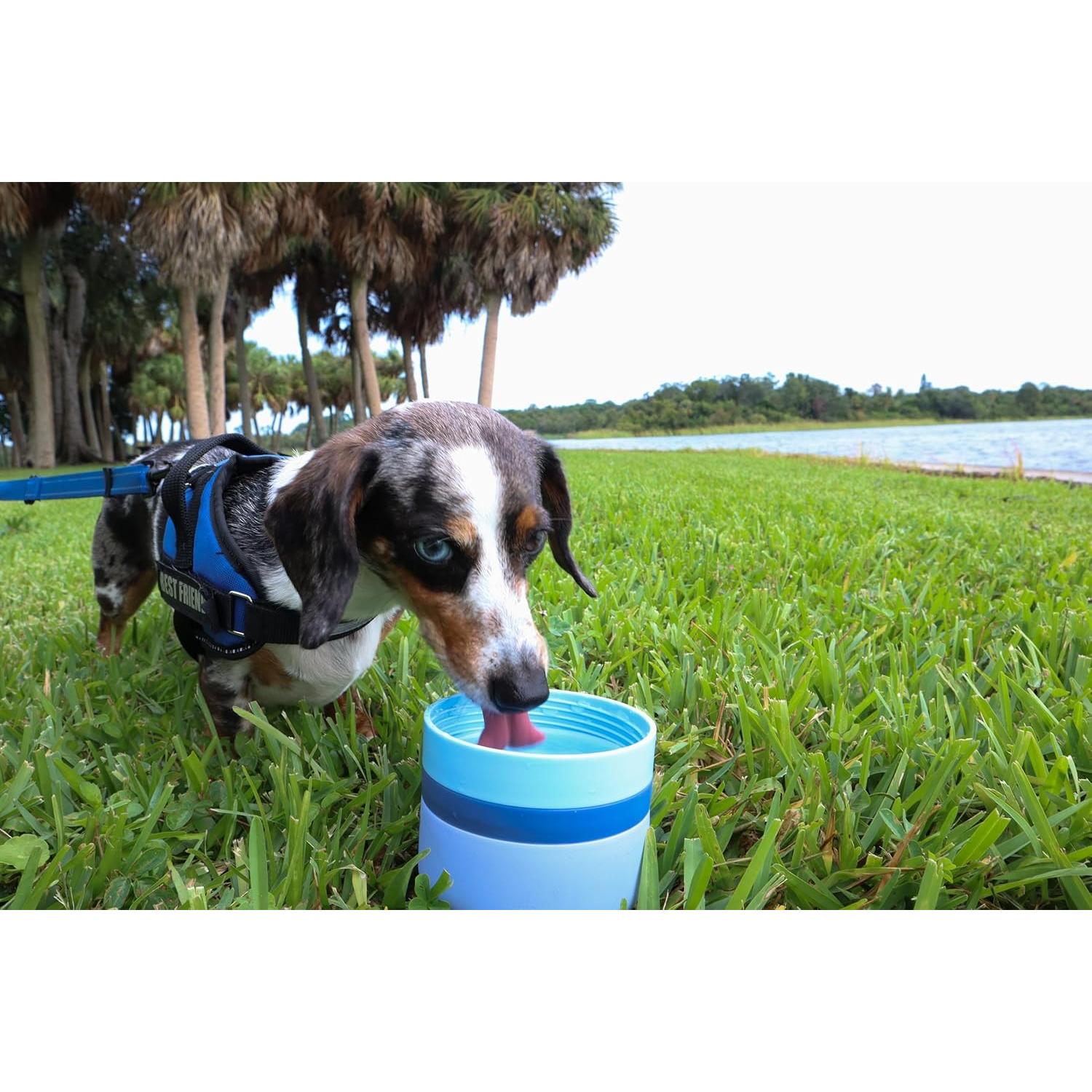 Estación de Agua para Mascotas OhmyPet 32oz con 3 Cuencos