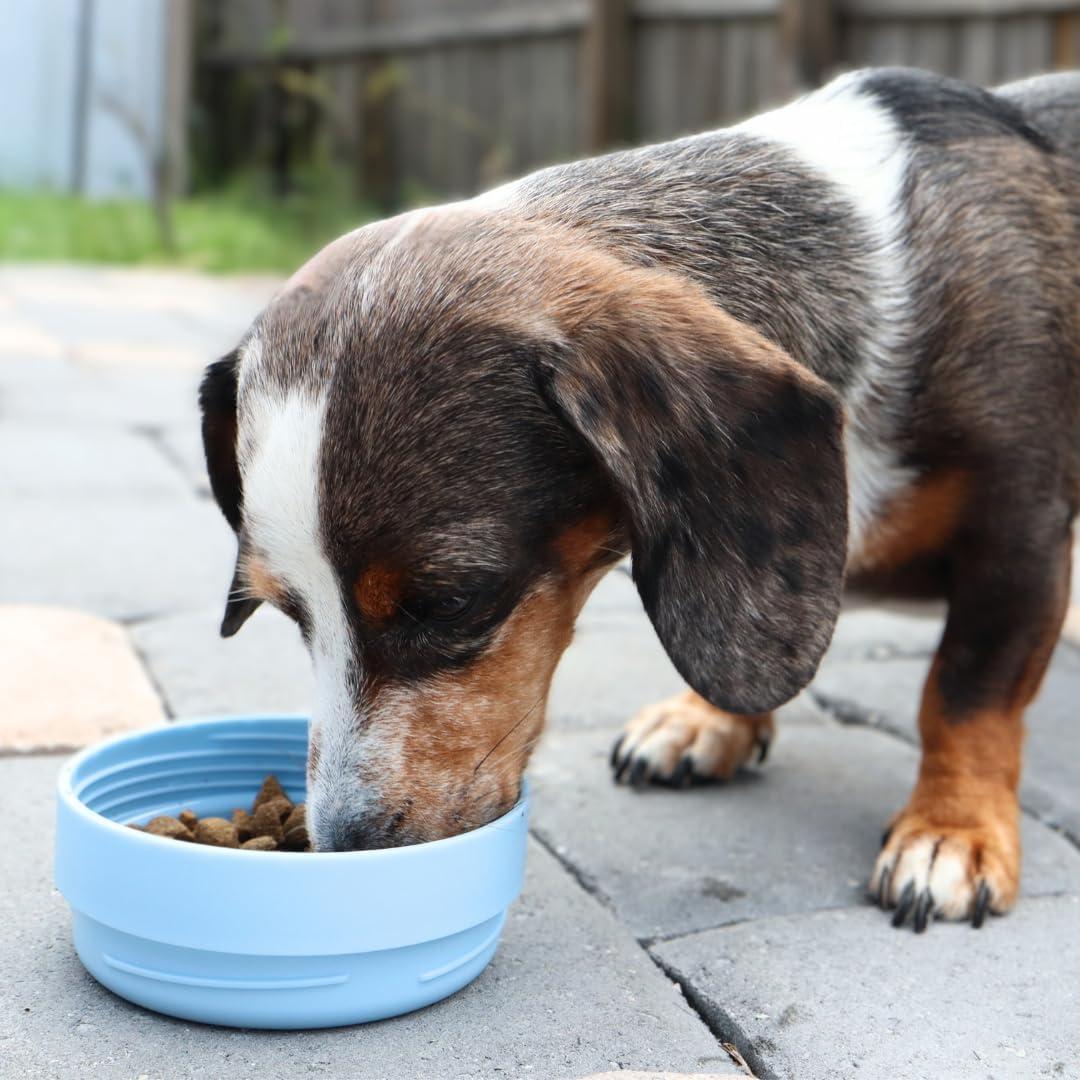 Estación de Agua para Mascotas OhmyPet 32oz con 3 Cuencos