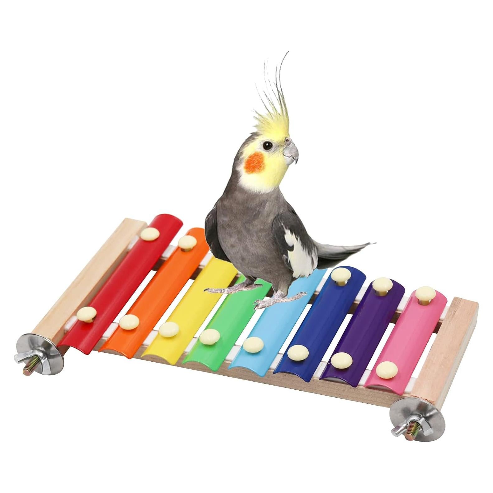 Juguete xilófono para aves Dnoifne 23x12 cm 8 teclas metal