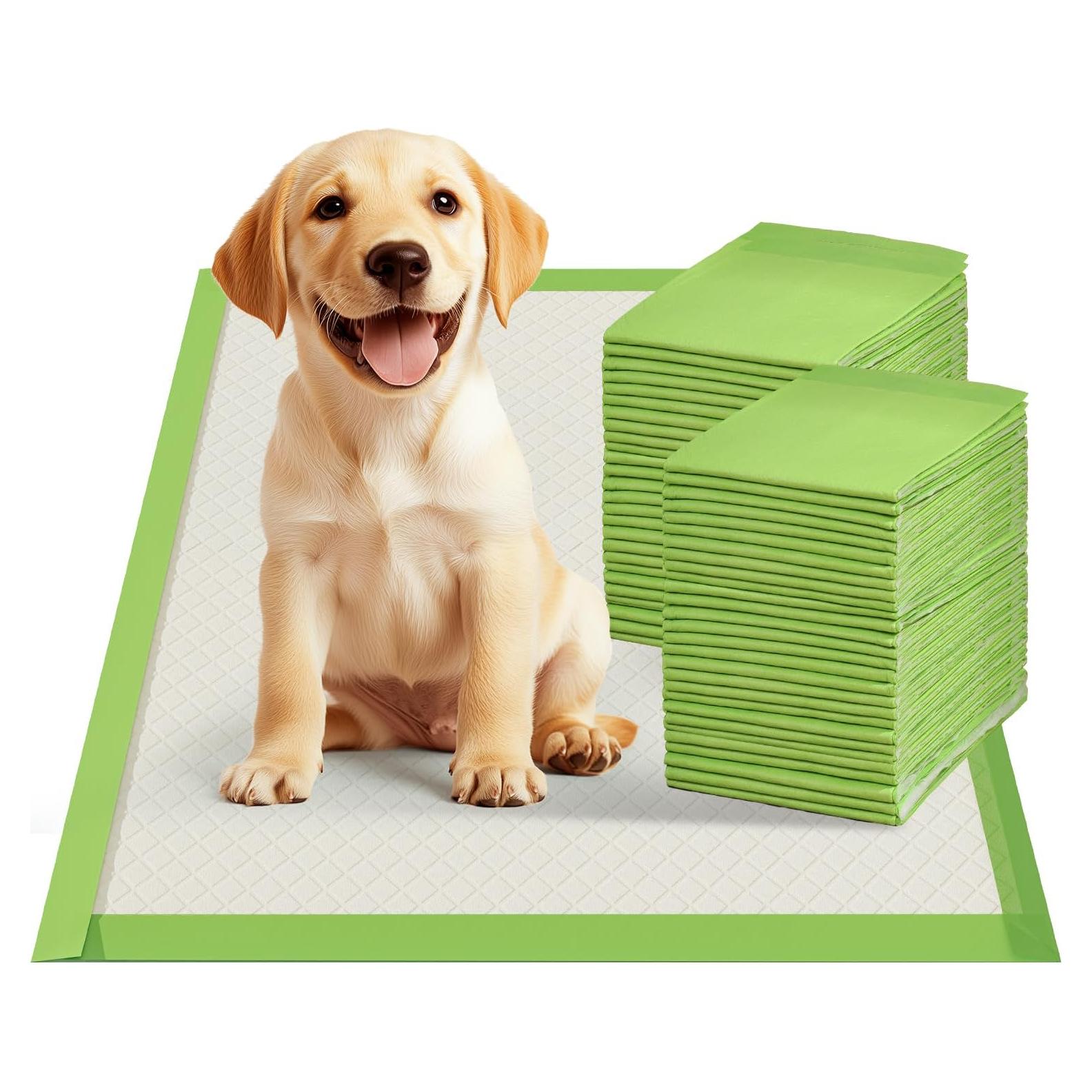 Almohadillas Desechables para Entrenamiento de Perros Gardner 55.88x55.88 cm - 20 Unidades